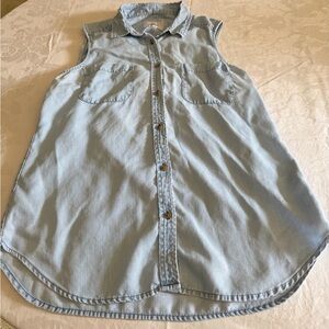 American Eagle Outfitters Pale Blue/Chambry Button-Up Shirt